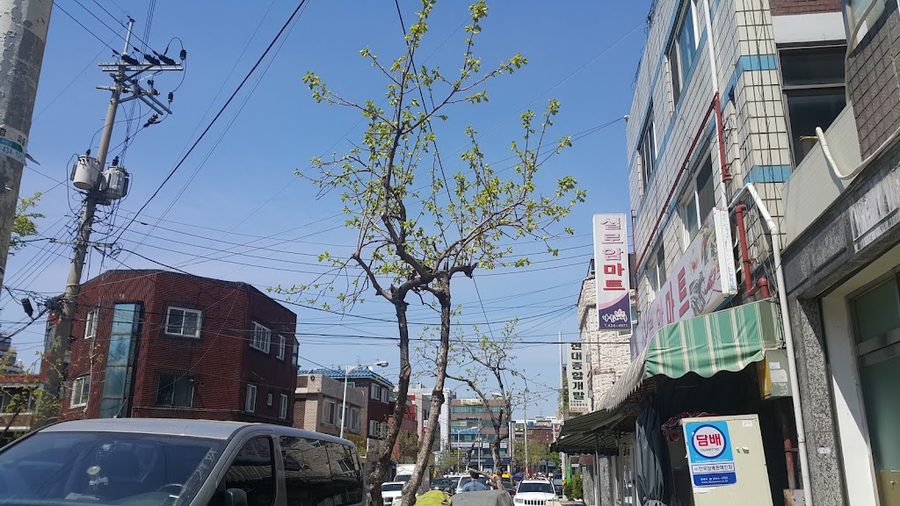 Jisang Park