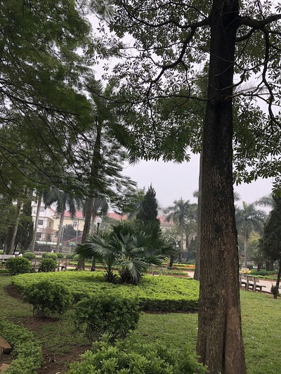 Công Viên Trần Thủ Độ