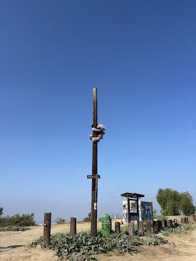 Flat Top Park