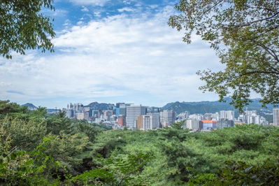 南山北側循環散策路