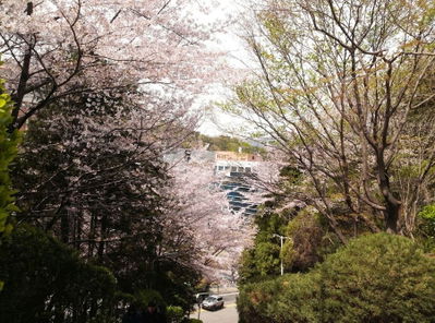 동의대학교 중앙도서관