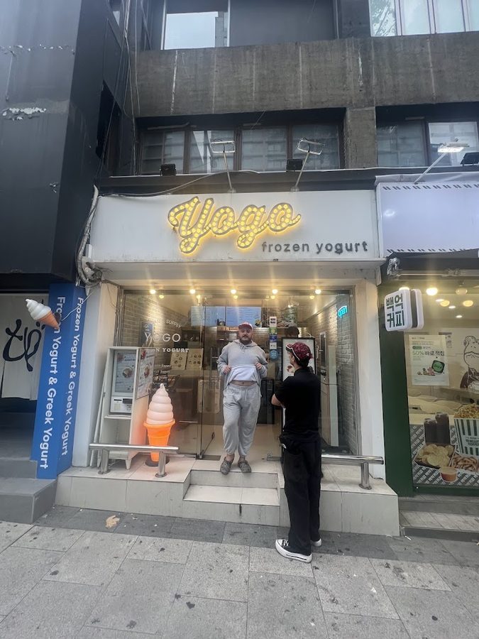 YOGO frozen yogurt