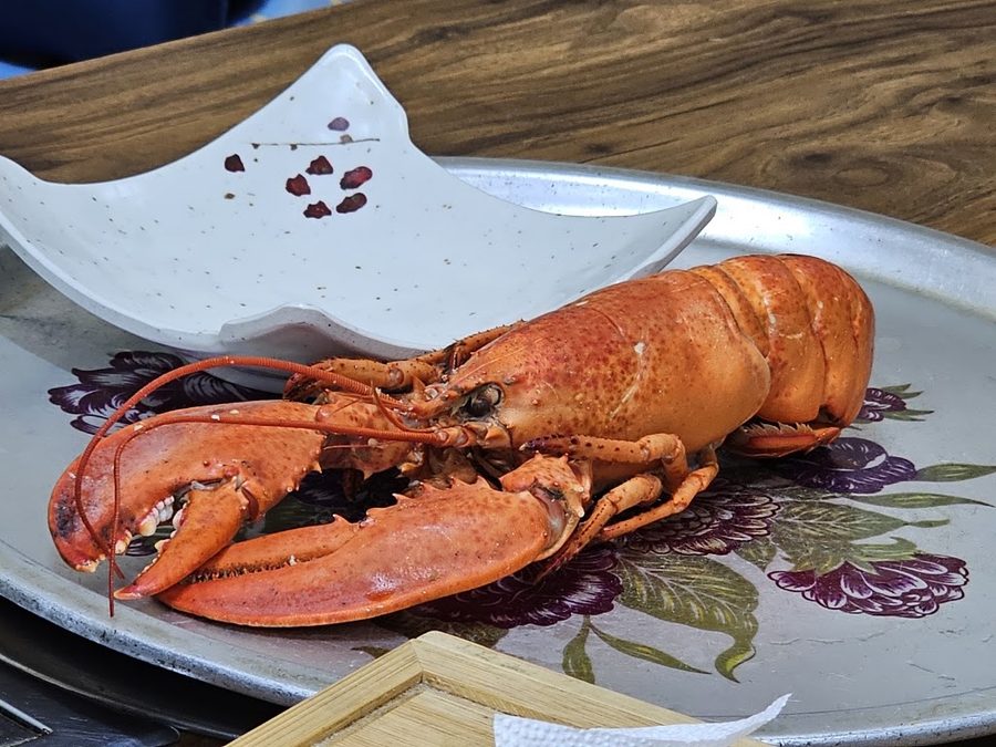 통영나폴리해물탕