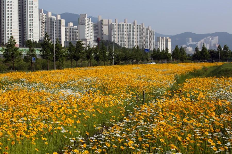 Hwamyeong Ecological Park