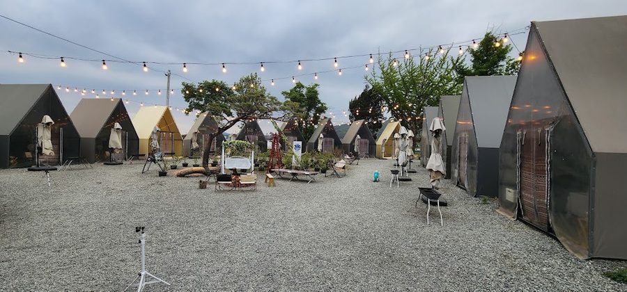 House Play Lab