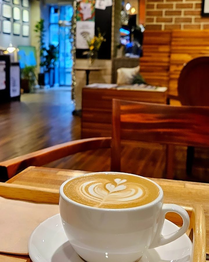 코알라커피