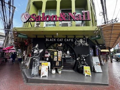 Black Cat Cafe