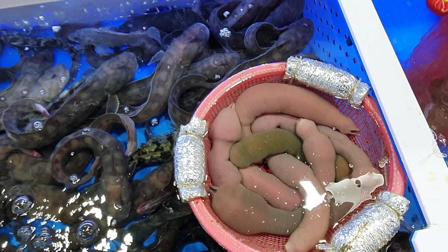 Jumunjin Fish Market