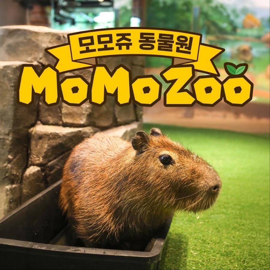 Momo Zoo
