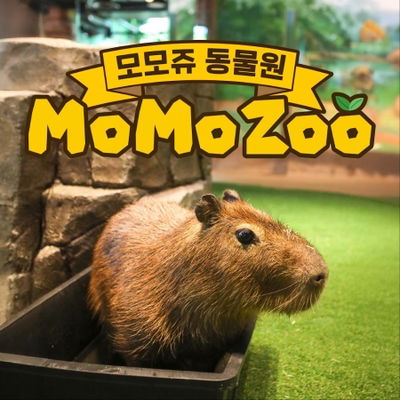 摸摸動物園 濟州神話世界店