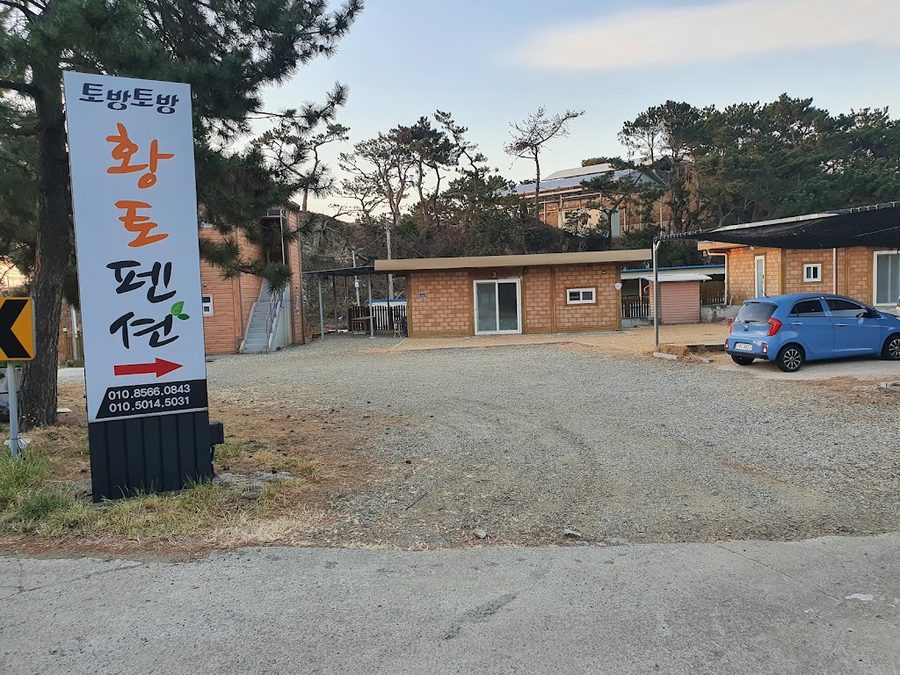 비치드웨일