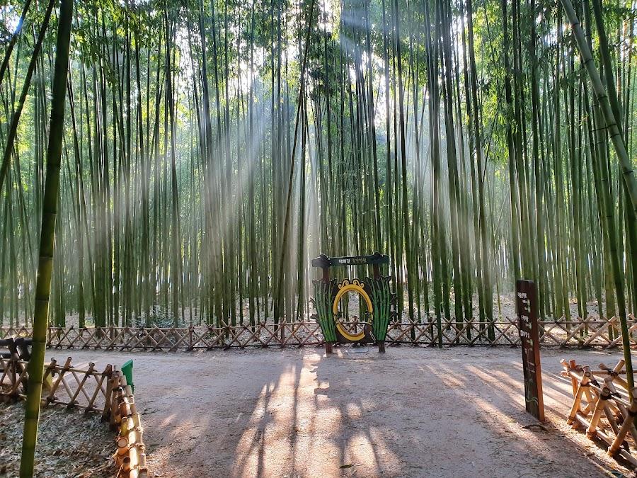 蔚山太和江國家庭園
