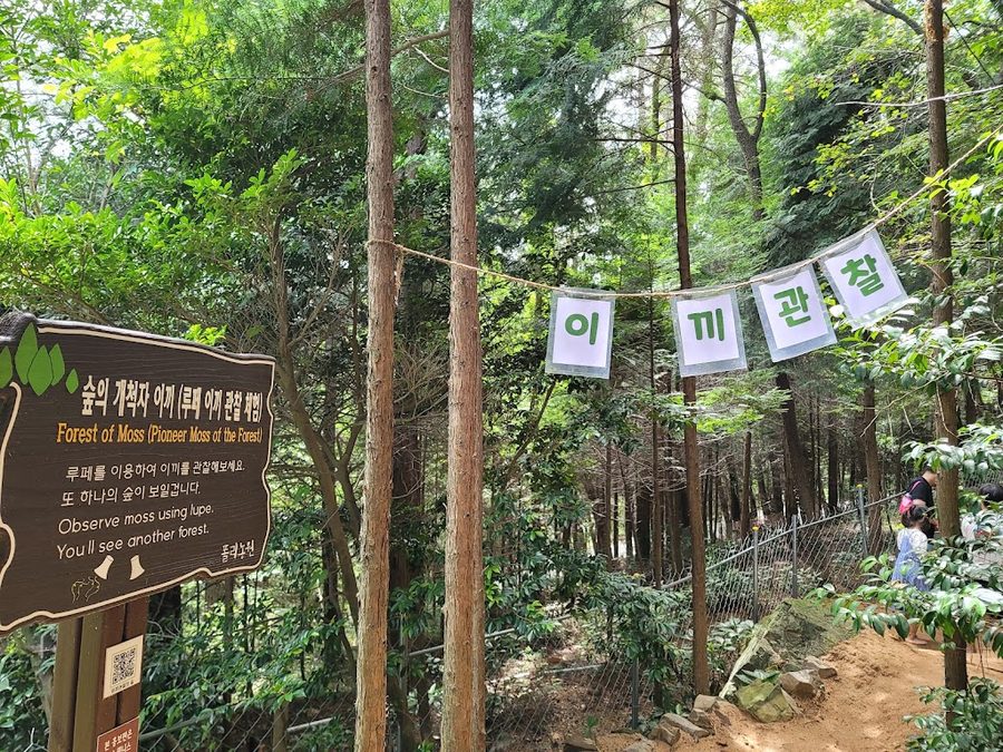 나폴리농원