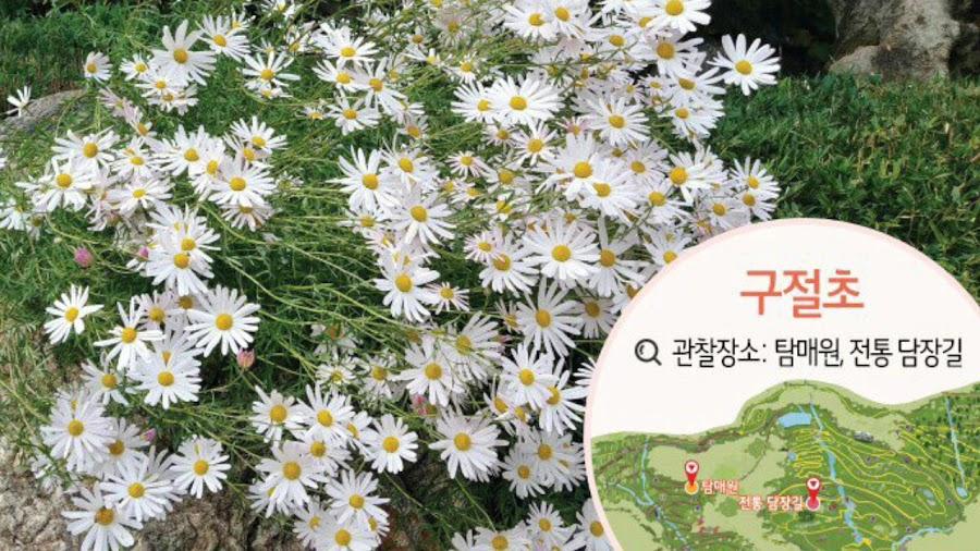 和談の森