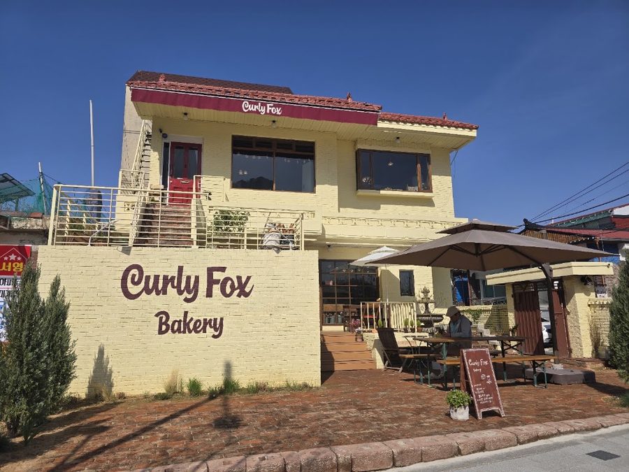 Curly Fox Bakery Cafe