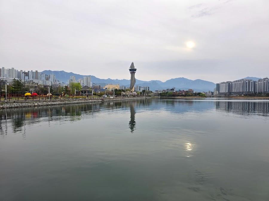 청초호