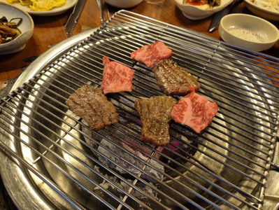 별들의고향