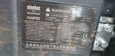 양대화