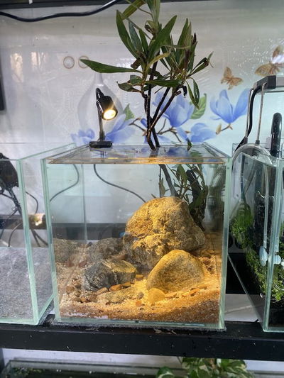 Narita - Hồ Thuỷ Sinh Aquarium