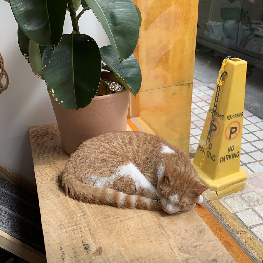 리틀오몬드