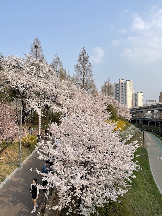 Sinbanpo Park