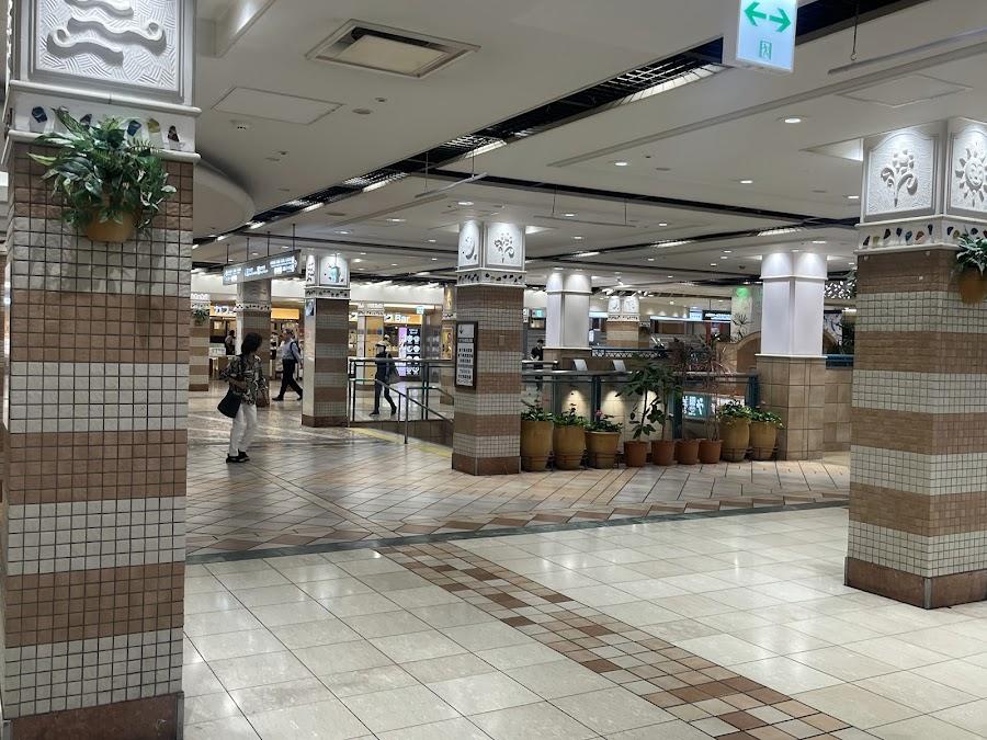 아베치카