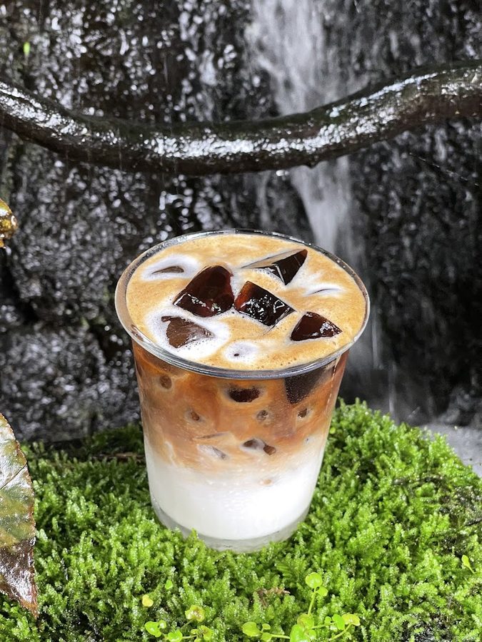 AN COFFEE Aquarium