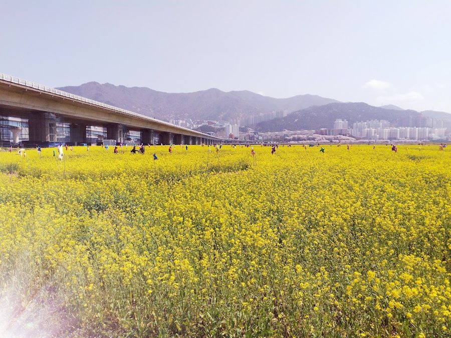Gupo Bridge
