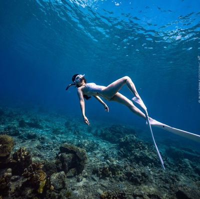 Jeju Blue In Free & Scuba Diving Seoul