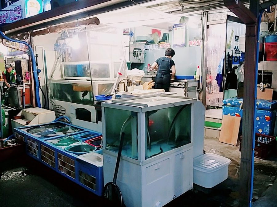 거북시장