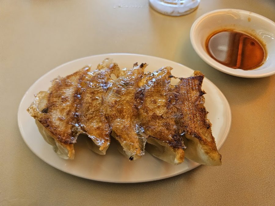 MistaGyoza