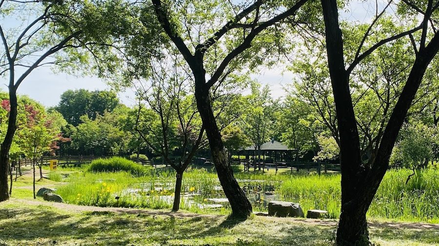Hanbat Arboretum Seowon Playground