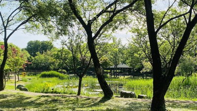 Hanbat Arboretum Seowon Playground