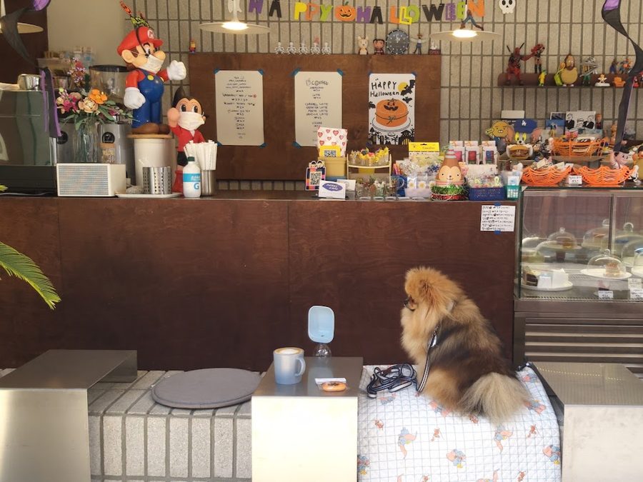 조프리케이크