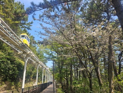 Busan Green Railway