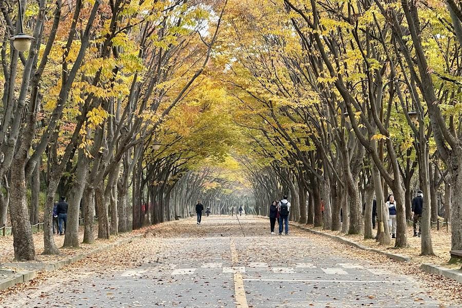 Incheon Grand Park