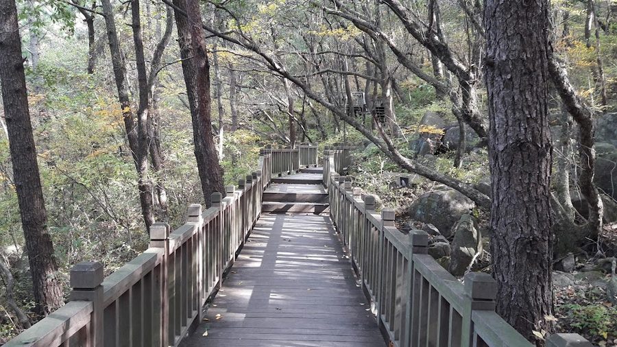 반여산림생태공원