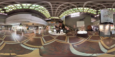 大阪市立自然史博物館