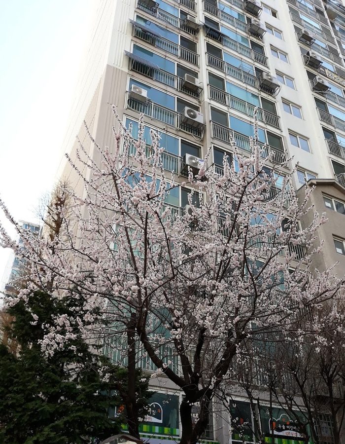 Byeoksan 5 Danji Apartment 519