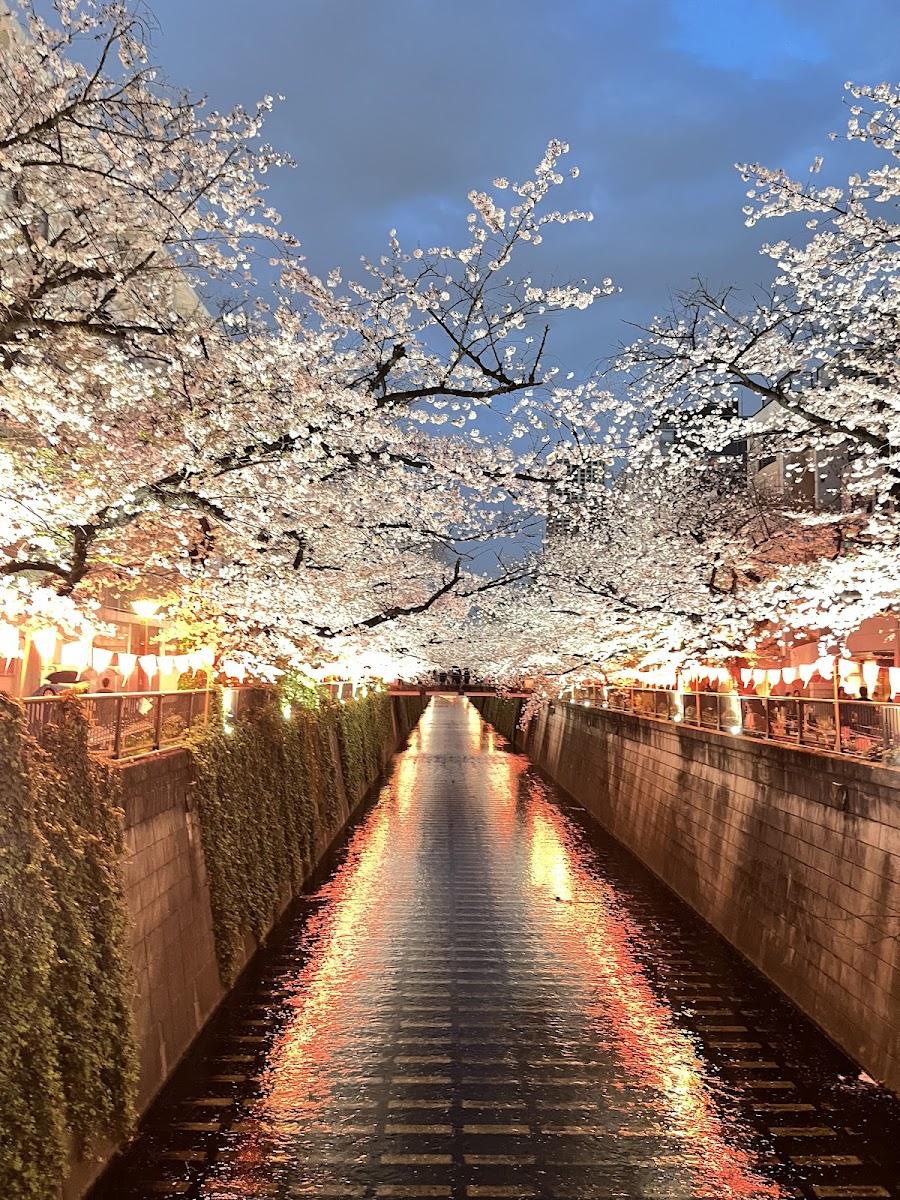 Meguro River