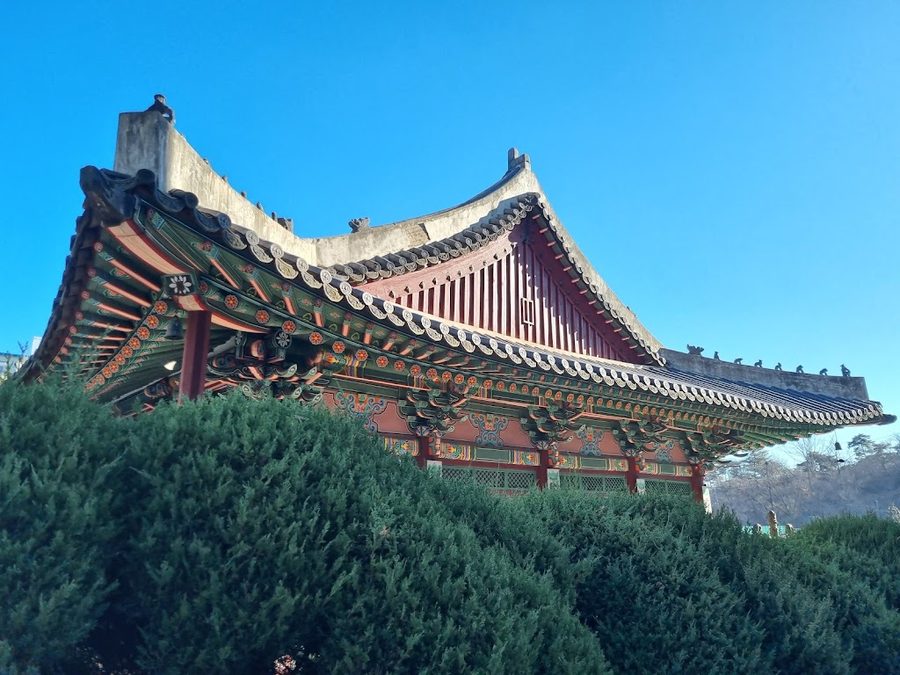 동국대학교 박물관