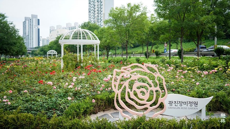 Gwangjin Jangmi Jeongwon