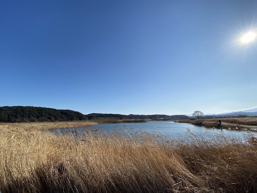 Yangyang Namdaecheon Eoksae Pyeongwon