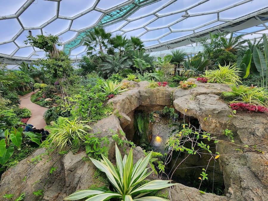 Bucheon Lake Botanical Garden Supia