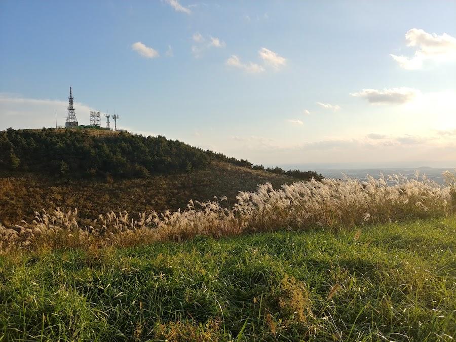 Geumoreum