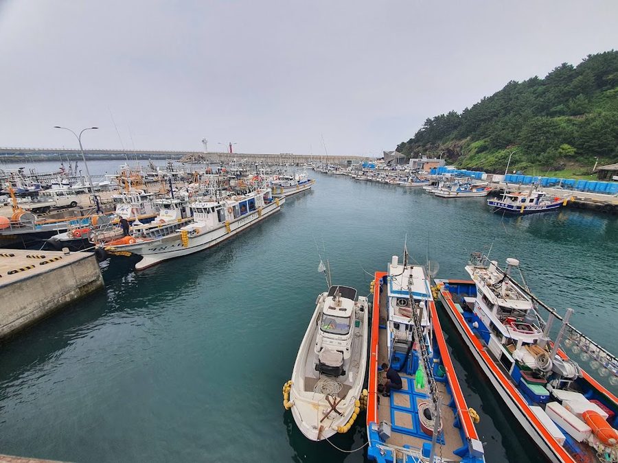 제주 도두항