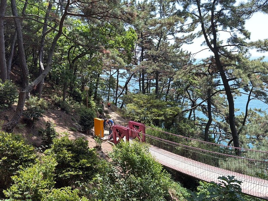 동백나무길 전망대