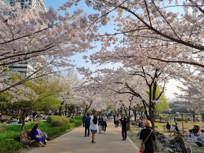ポラメ公園