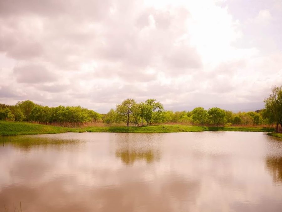 Gyeongpo Gasiyeon Wetland