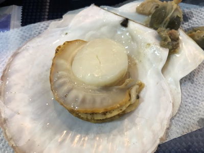 피쉬고고 신당점